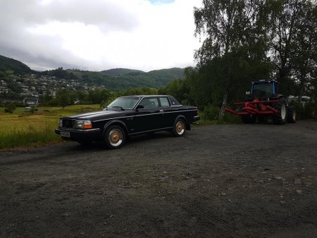 885 Classic RS 7x16" gull